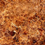 sri lanka coco peat, cocos plus unwashed raw coco peat cutfibre in index page